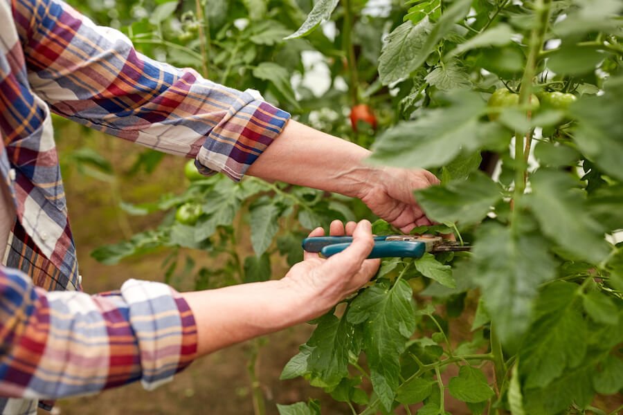 farm hand