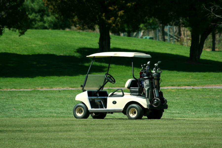 golf caddy