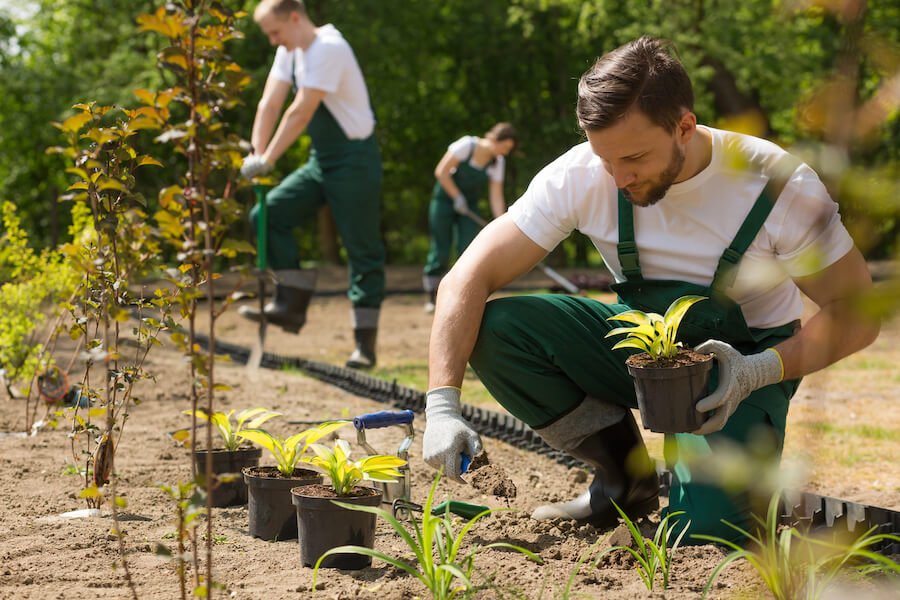 groundskeeper