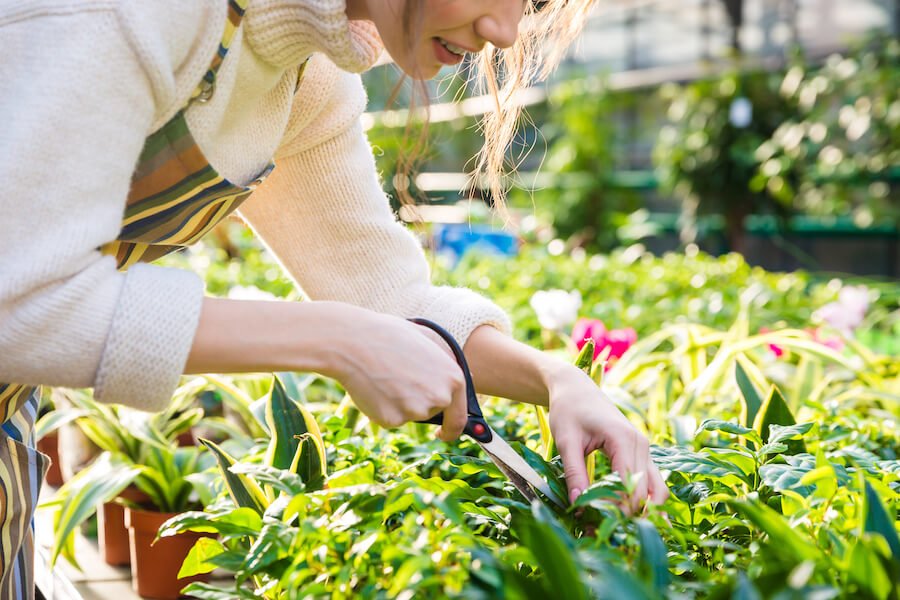 yard management