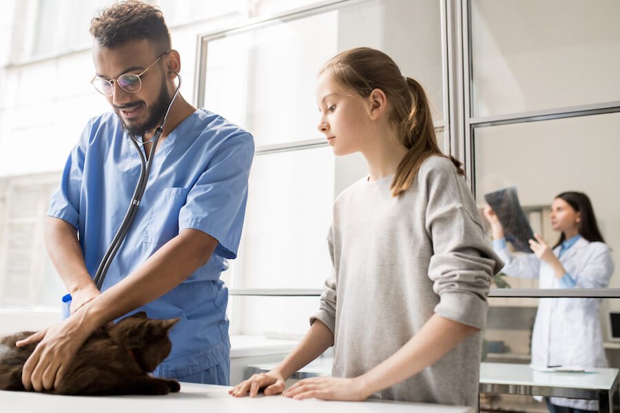 veterinary assistant veterinary assistant