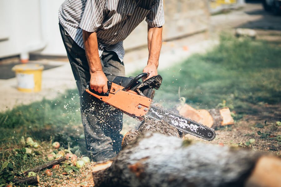 cutting and selling firewood